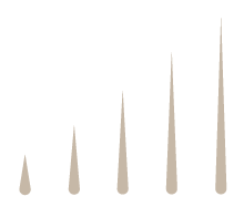 Configuracion-ajustable