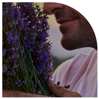 Garantía-De-Seguridad