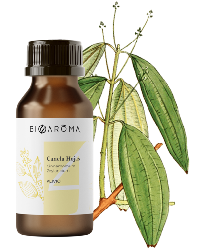 10-Aceite-Canela