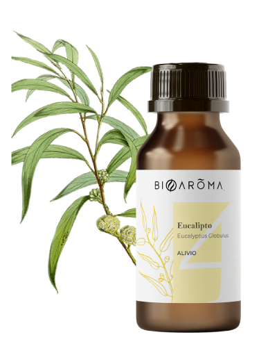 3-Aceite-Eucalipto