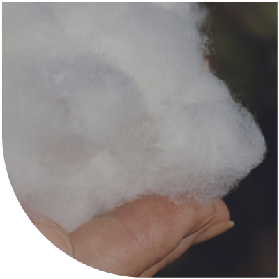 Procesos-Sustentables