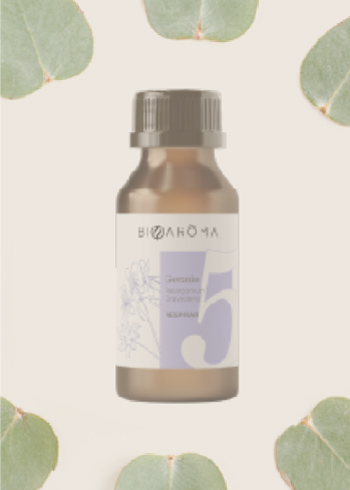 Embotellado-almacenamiento-cuidado