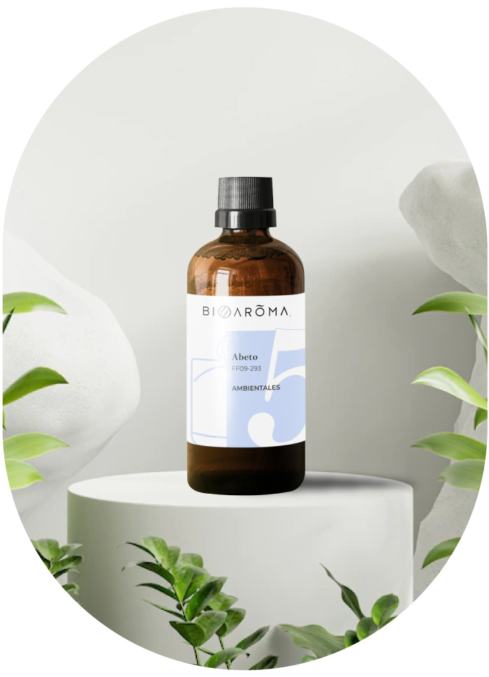 Cuidando-el-medio-ambiente