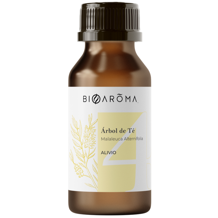 Arbol-de-te-4